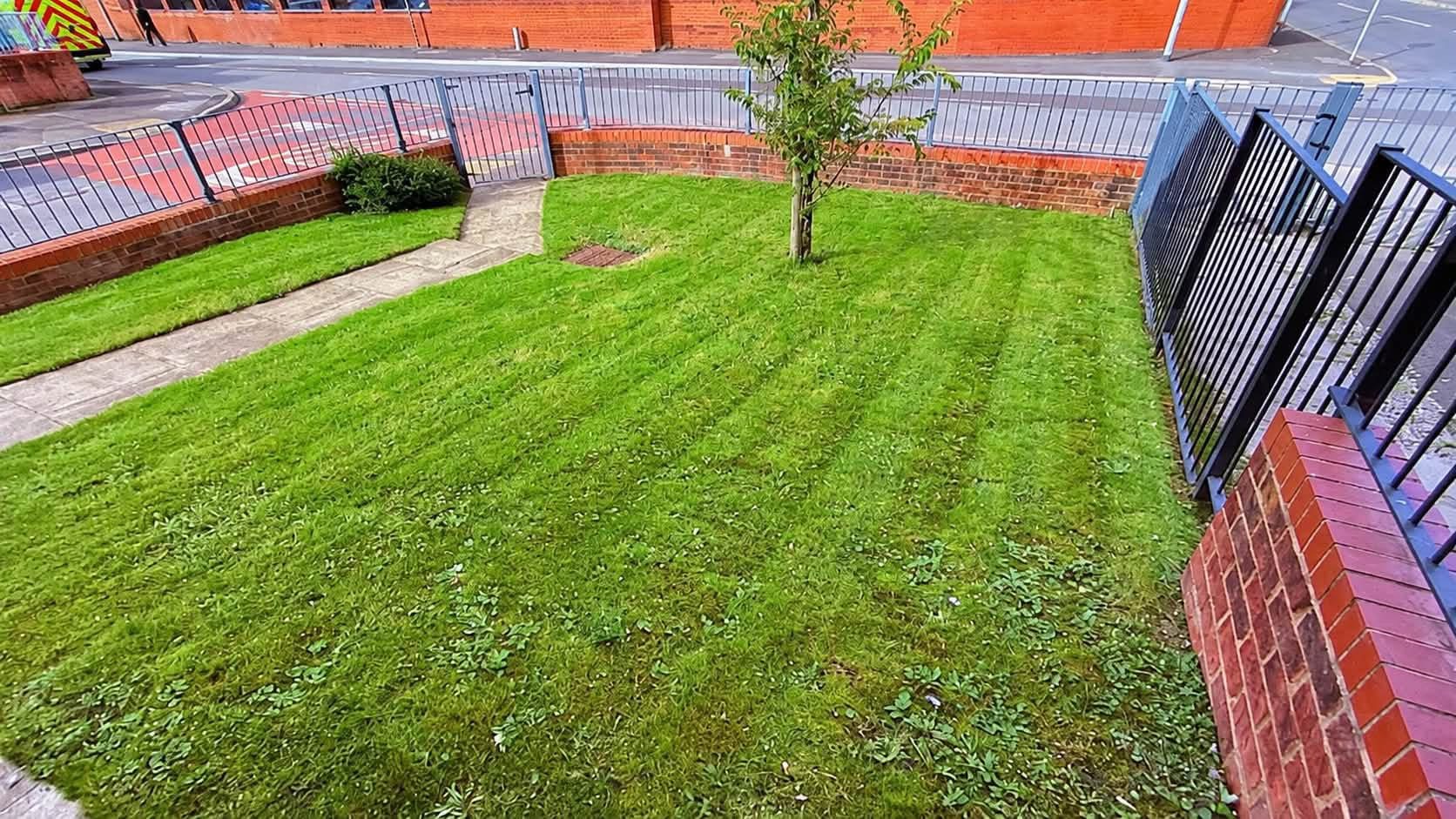 Lawn maintenance