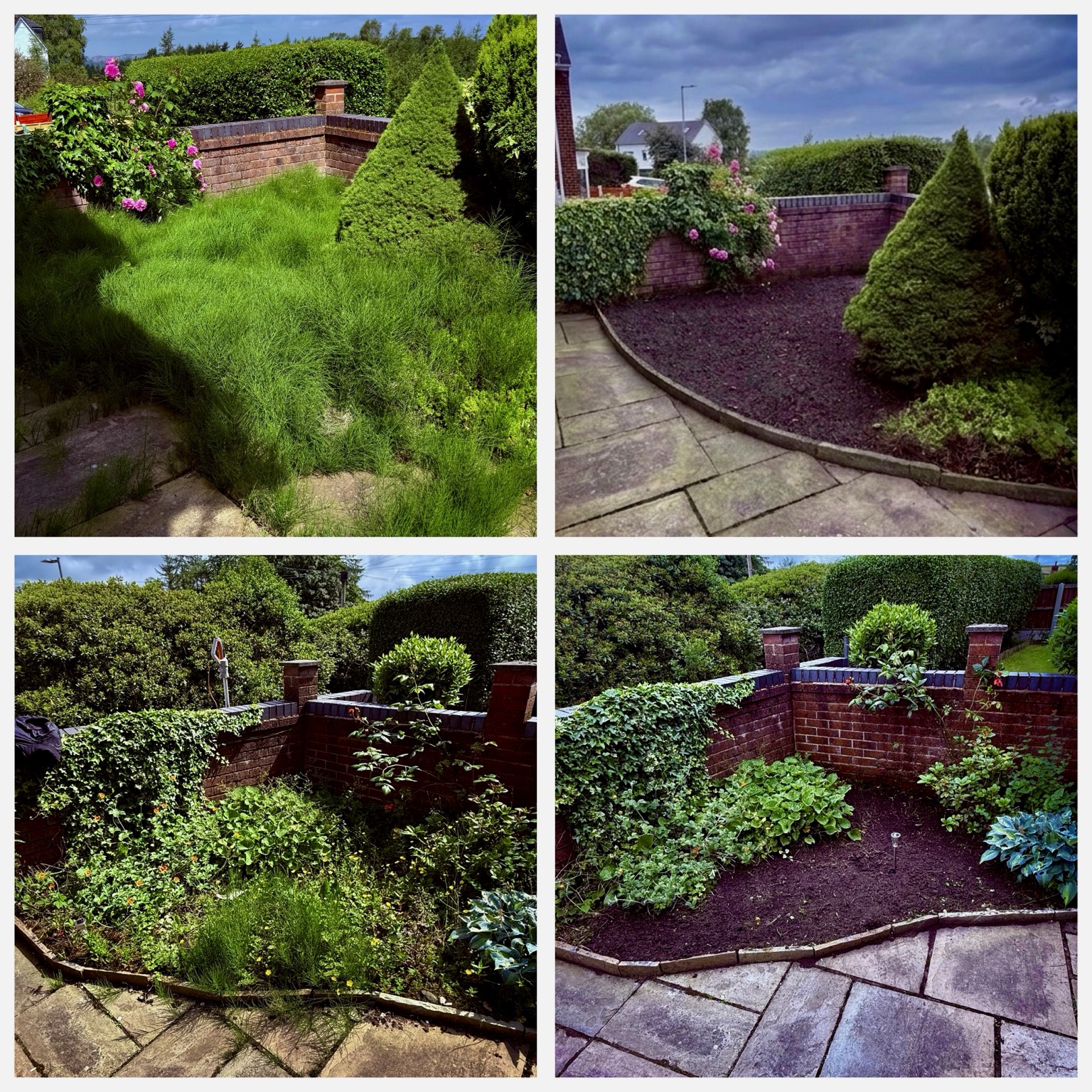 Garden border transformation examples