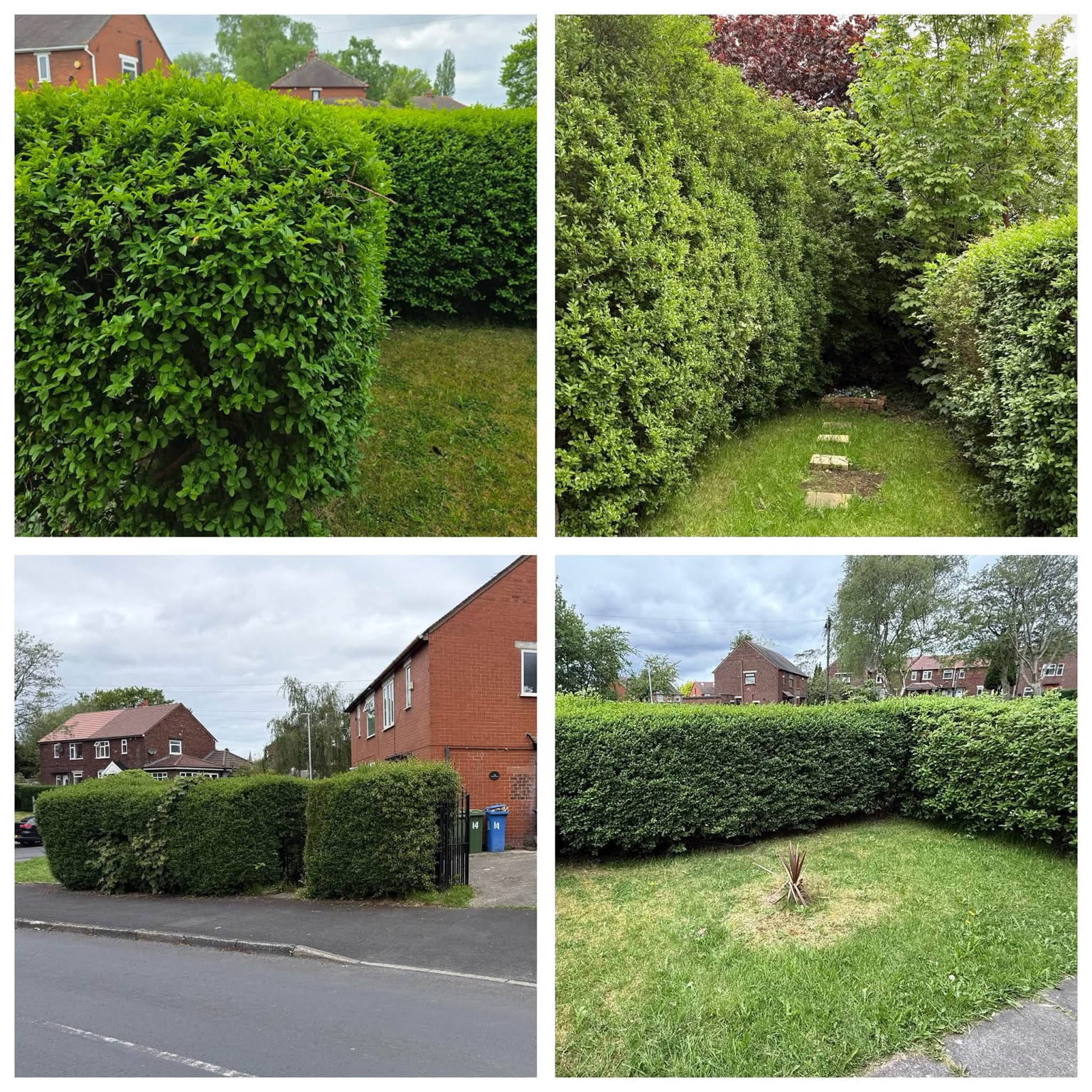 Hedge maintenance examples